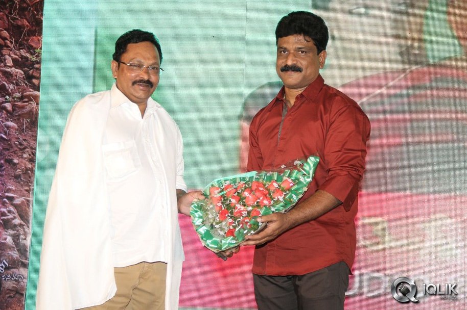 Mellaga-Tattindi-Manasu-Talupu-Movie-Audio-Launch